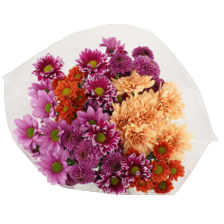 Chrysantenboeket
